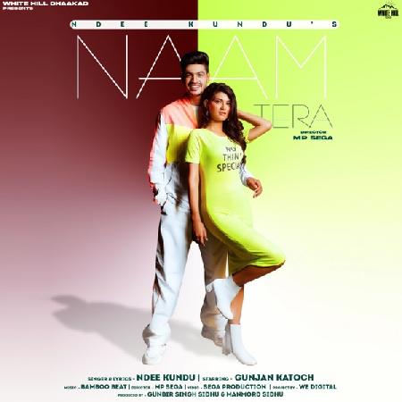 Naam Tera DJ Remix Ndee Kundu Mp3 Song Download